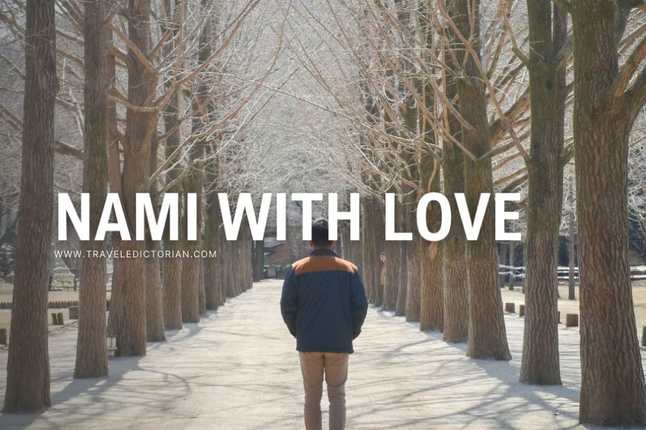 A leafless tree-lined avenue