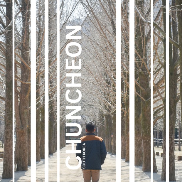 A leafless tree-lined avenue